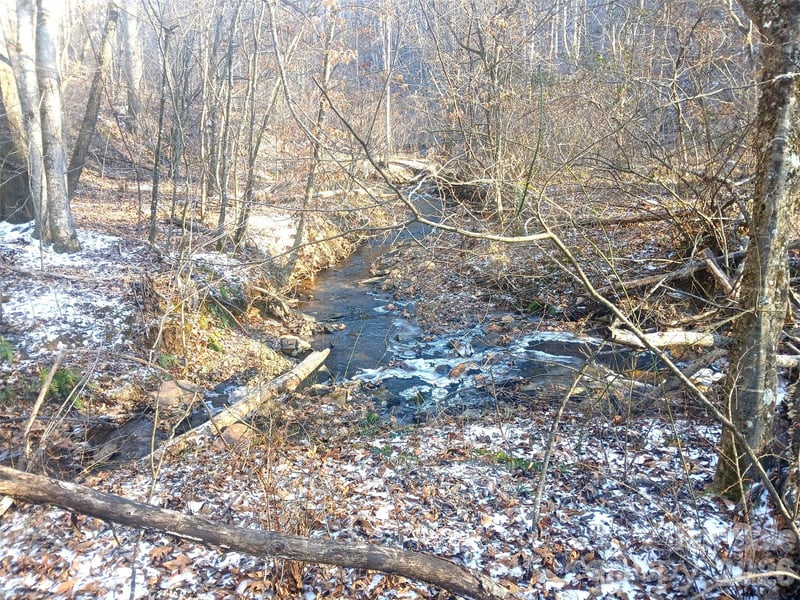 1874 Double Island Rd, Green Mountain, NC 28740