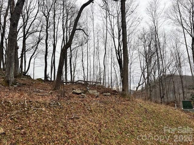 C-114 Spring Water Ln, Banner Elk, NC 28604