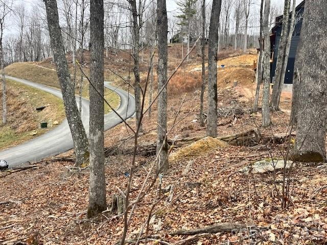 C-114 Spring Water Ln, Banner Elk, NC 28604