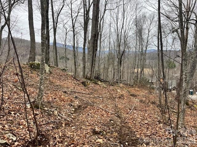 C-114 Spring Water Ln, Banner Elk, NC 28604