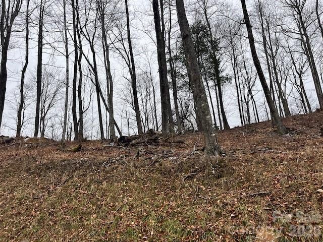 C-114 Spring Water Ln, Banner Elk, NC 28604
