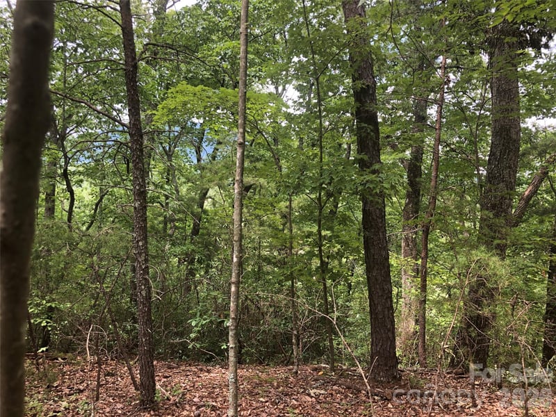 0 Buffalo Creek Rd Lot 35, Lake Lure, NC 28746