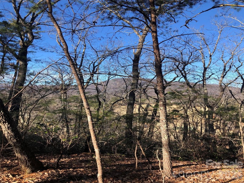 0 Buffalo Creek Rd Lot 35, Lake Lure, NC 28746