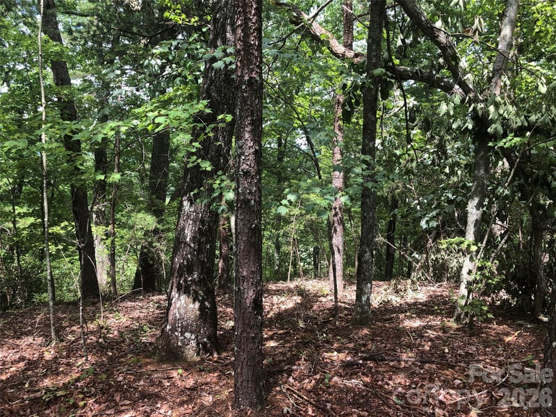 0 Buffalo Creek Rd Lot 35, Lake Lure, NC 28746