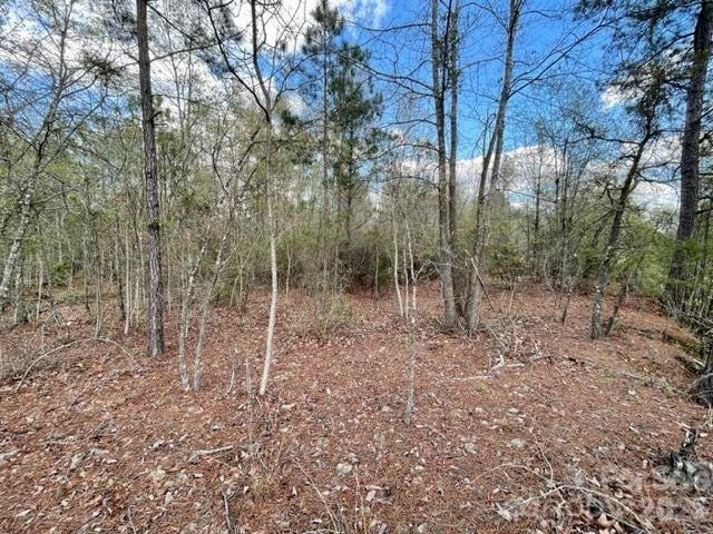 0000 Hwy 1 ByPass, Cheraw, SC 29520