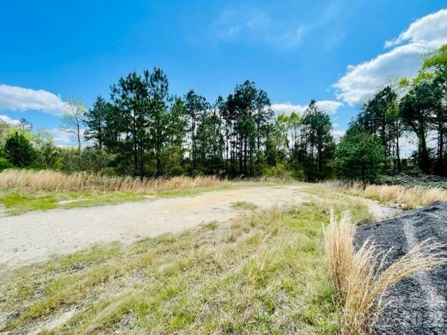 0000 Hwy 1 ByPass, Cheraw, SC 29520