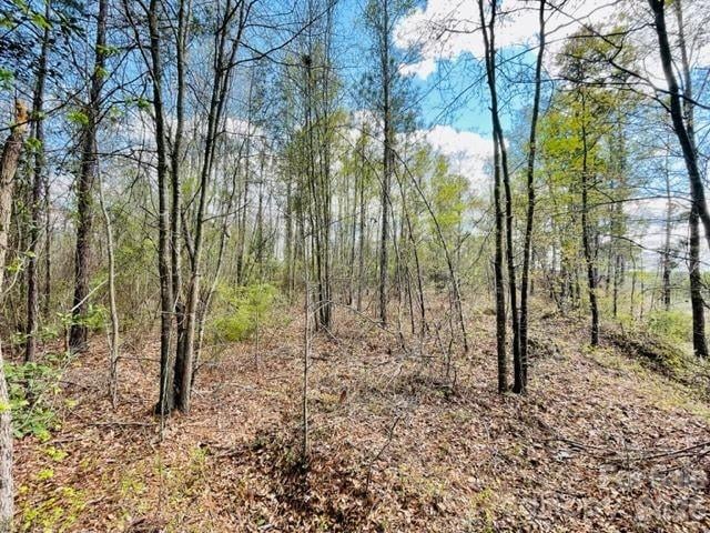 0000 Hwy 1 ByPass, Cheraw, SC 29520