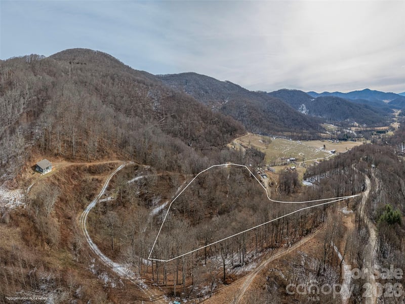 00 Max Patch Rd, Clyde, NC 28721