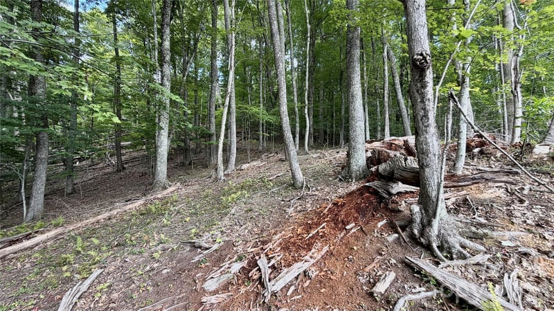000 Fox Den Rd #109, Mars Hill, NC 28754