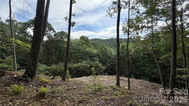 000 Fox Den Rd #109, Mars Hill, NC 28754