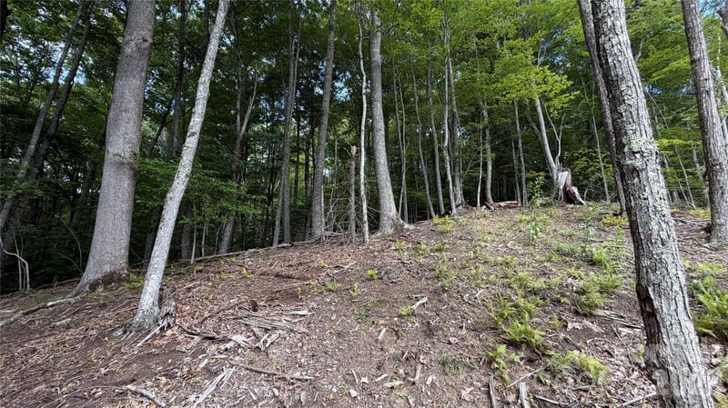 000 Fox Den Rd #109, Mars Hill, NC 28754