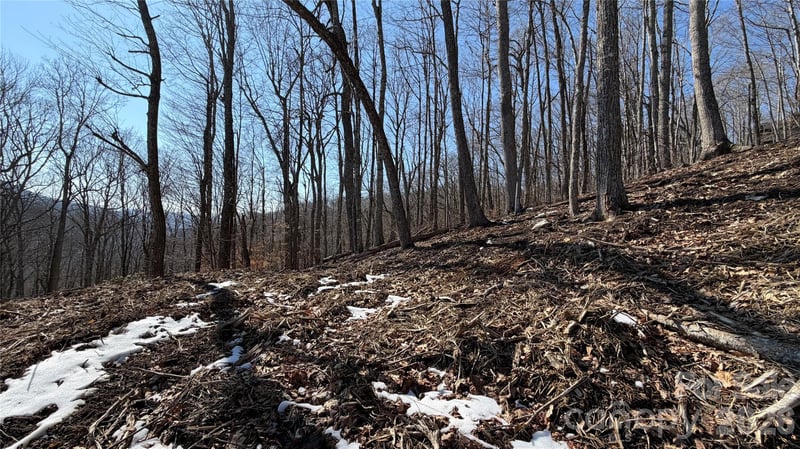 000 Fox Den Rd #109, Mars Hill, NC 28754