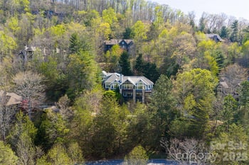 9 Dianthus Dr, Asheville, NC 28803