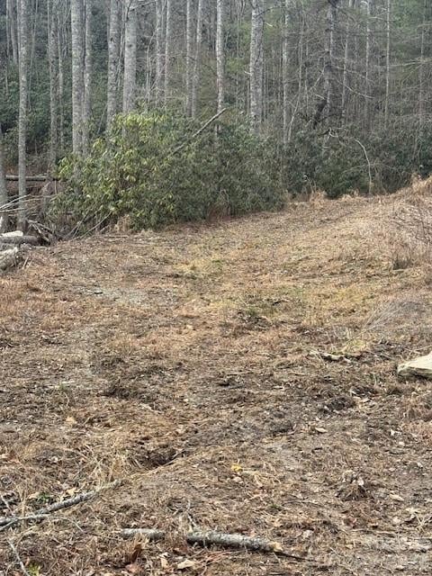 Benton Dr, Etowah, NC 28729