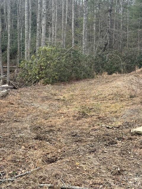 Benton Dr, Etowah, NC 28729