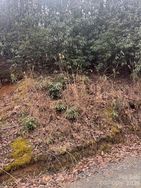 Benton Dr, Etowah, NC 28729