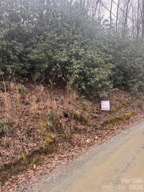 Benton Dr, Etowah, NC 28729