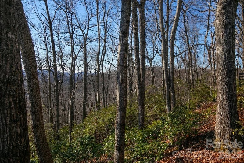 TBD Oak Ridge Rd #17, Rosman, NC 28772
