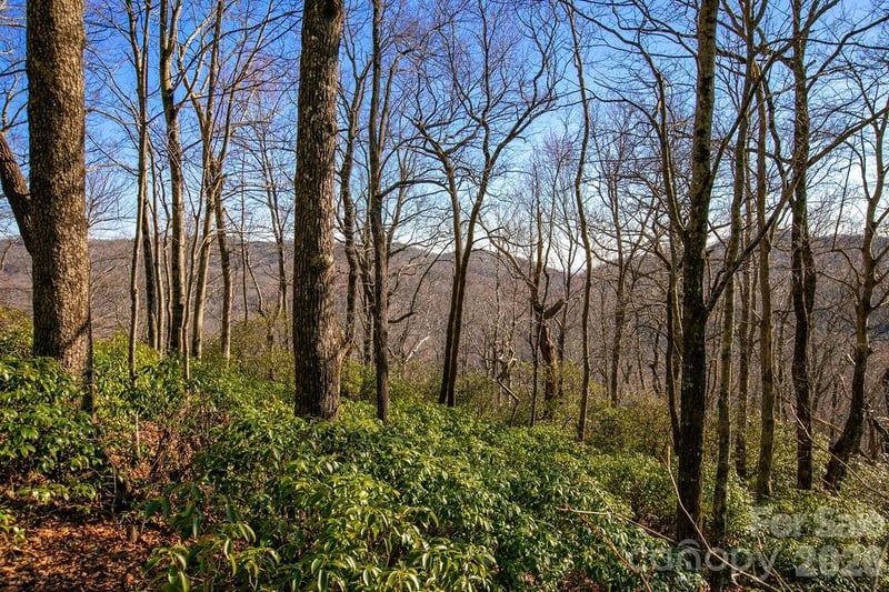 TBD Oak Ridge Rd #17, Rosman, NC 28772