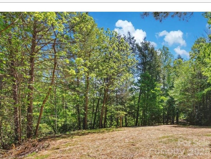 1127 Bee Tree Rd, Swannanoa, NC 28778