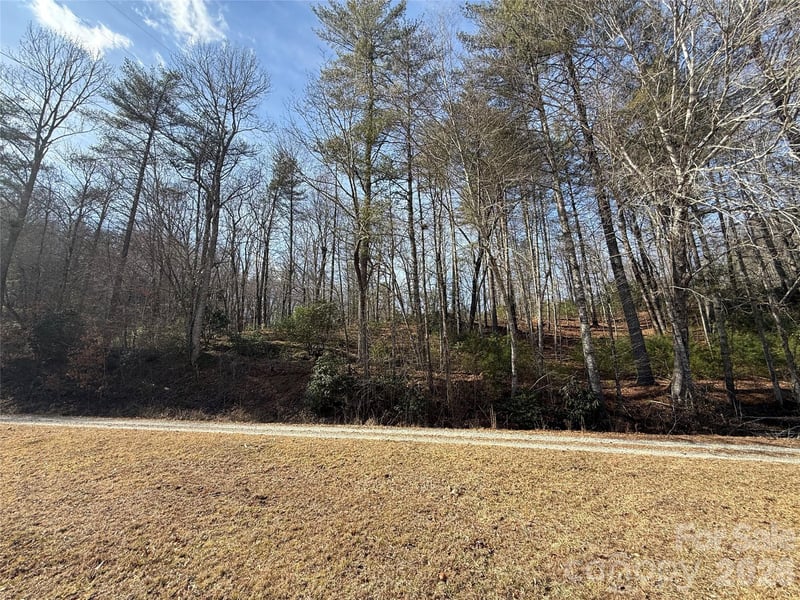 361 Rooster Cv, Brevard, NC 28712