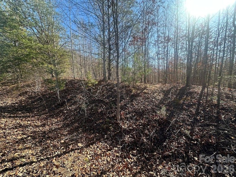 127 Robinwood Trl, Bostic, NC 28018