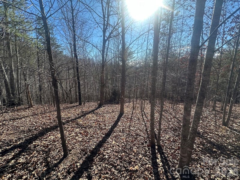 127 Robinwood Trl, Bostic, NC 28018