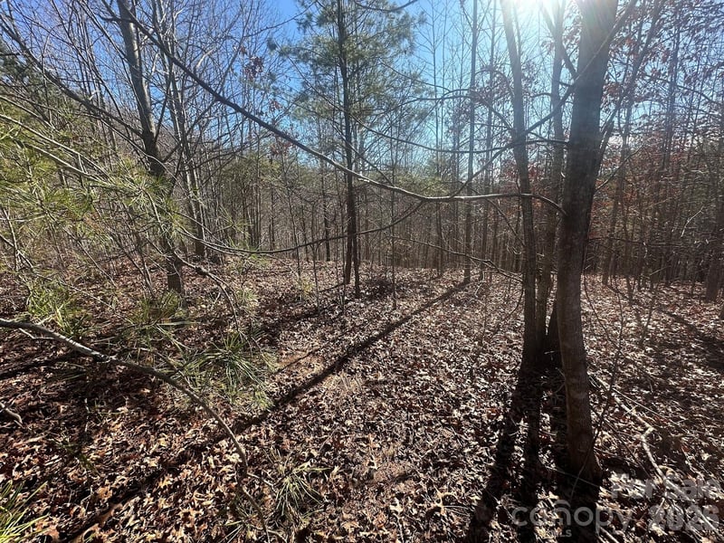 127 Robinwood Trl, Bostic, NC 28018
