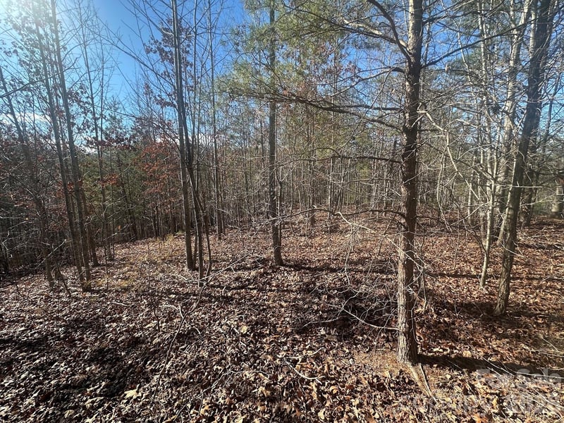 127 Robinwood Trl, Bostic, NC 28018