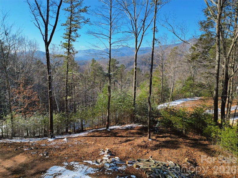 3 Dream Valley Dr #3, Clyde, NC 28721