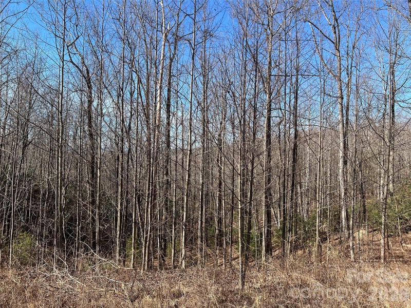 521 Timber Rock Dr #521, Lenoir, NC 28604