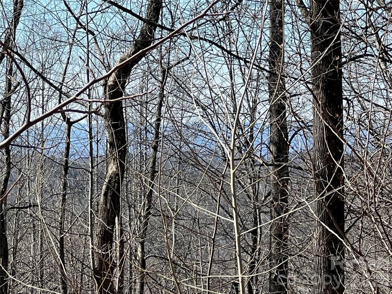 521 Timber Rock Dr #521, Lenoir, NC 28604
