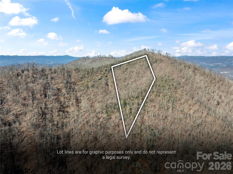 31 Reillys Bluff Rd #2, Barnardsville, NC 28709