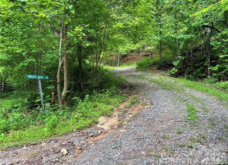 31 Reillys Bluff Rd #2, Barnardsville, NC 28709