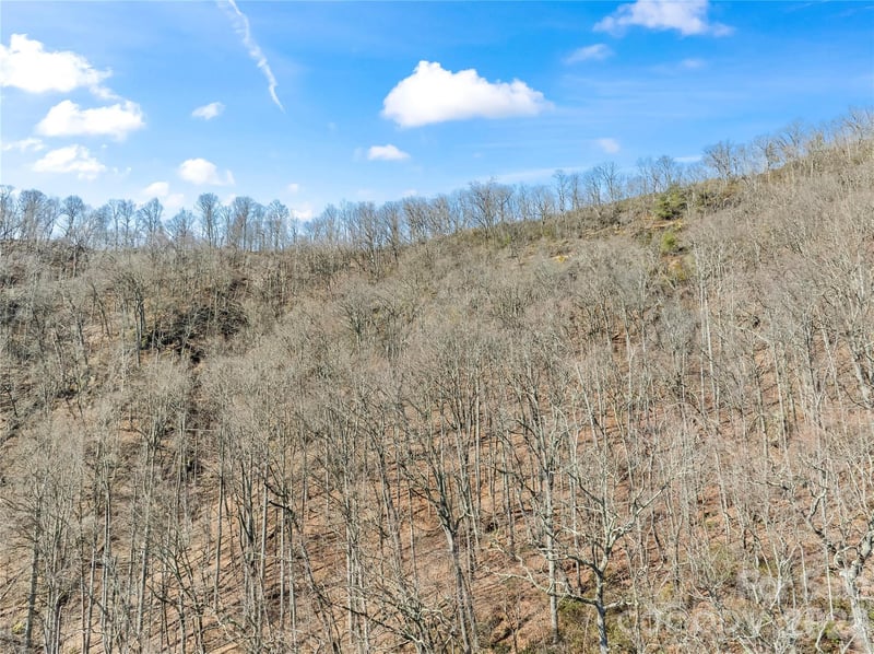 31 Reillys Bluff Rd #2, Barnardsville, NC 28709