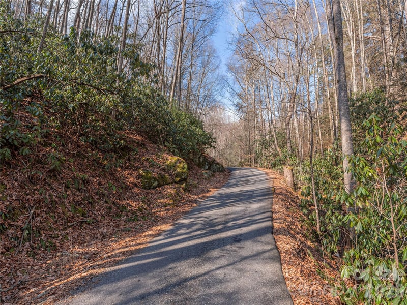 Coyote Hollow Rd, Waynesville, NC 28785