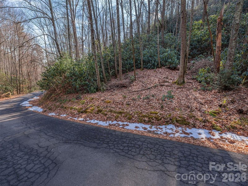 Coyote Hollow Rd, Waynesville, NC 28785