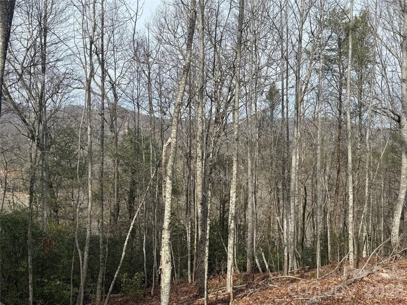 River Rn, Franklin, NC 28734