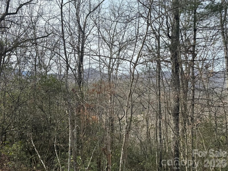 River Rn, Franklin, NC 28734