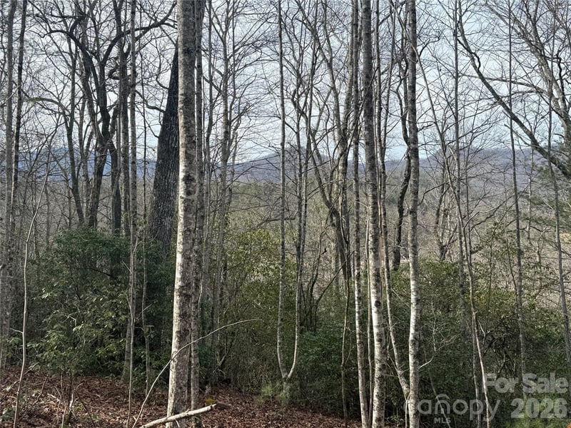 River Rn, Franklin, NC 28734