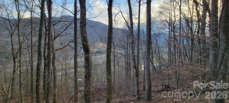 445 Allison Dr, Maggie Valley, NC 28751