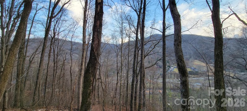445 Allison Dr, Maggie Valley, NC 28751