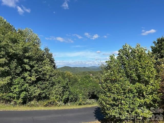 Tahawus Dr, Bostic, NC 29018