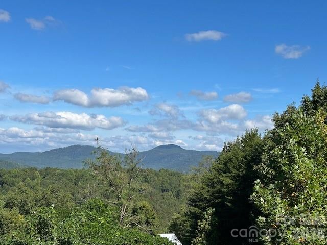Tahawus Dr, Bostic, NC 29018
