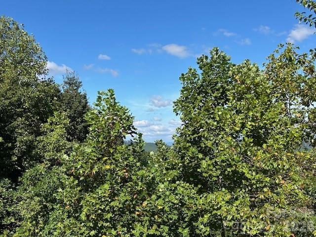 Tahawus Dr, Bostic, NC 29018