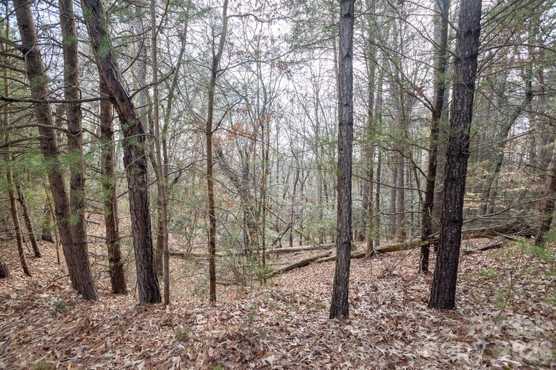 4012 Beechwood Spring Ln, Belmont, NC 28012