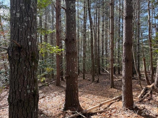 1386 Southpointe Dr, Morganton, NC 28655