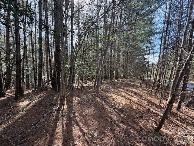 1386 Southpointe Dr, Morganton, NC 28655