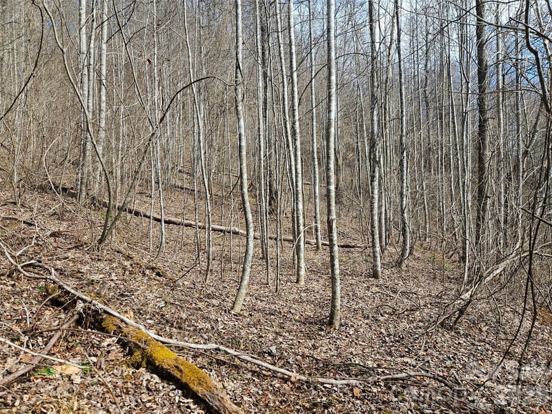 Woodfin Rd, Sylva, NC 28779