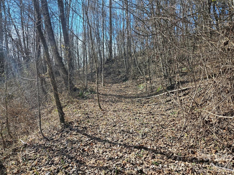 Woodfin Rd, Sylva, NC 28779